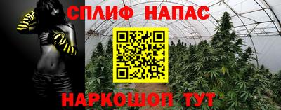 дурь Будённовск