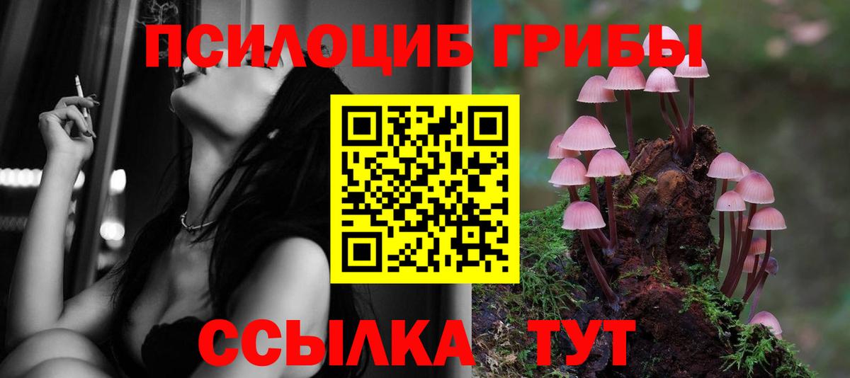 Псилоцибиновые грибы MAGIC MUSHROOMS Верхняя Пышма